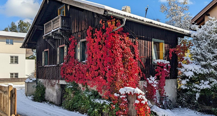 Sanierungsobjekt mit 300 m³ in Zentrumsnähe Bild
