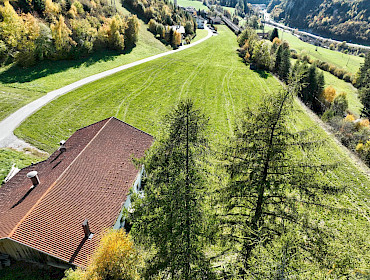 Hof mit Wiese Hof mit Wiese