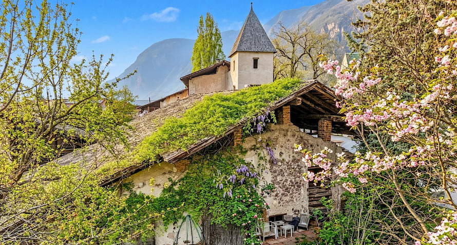 historic building with vineyard for sale Bild