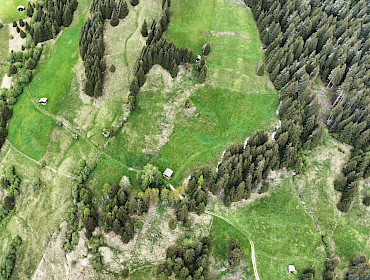 Landwirtschaftlicher Grund (Wiese) in KG Telfes Landwirtschaftlicher Grund (Wiese) in KG Telfes