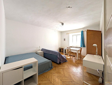 Wohnzimmer/Schlafzimmer Wohnzimmer/Schlafzimmer